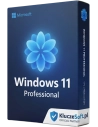 Windows 11 Pro